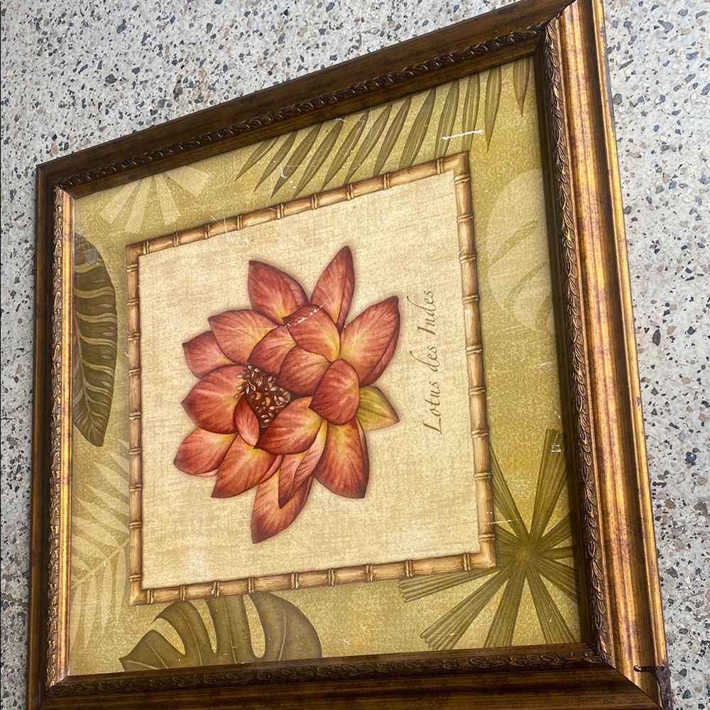 Lotus does Indes picture frame